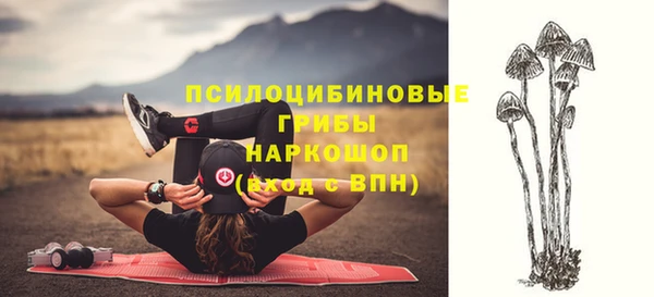 тгк Бородино