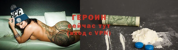 индика Богородицк