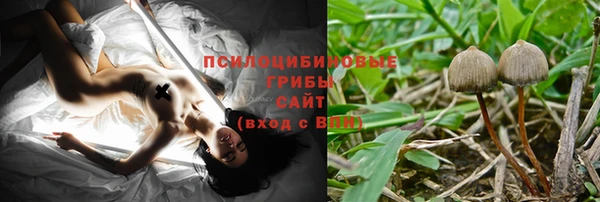 дмт Богданович
