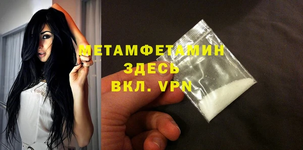 индика Богородицк