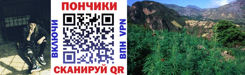 Каннабис AK-47 купить закладку Горняк